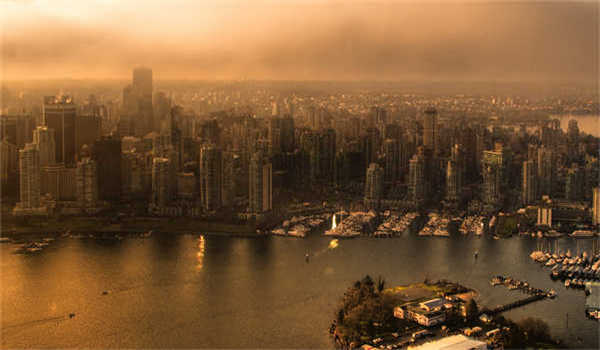 小学寒假青铜葵花读后感