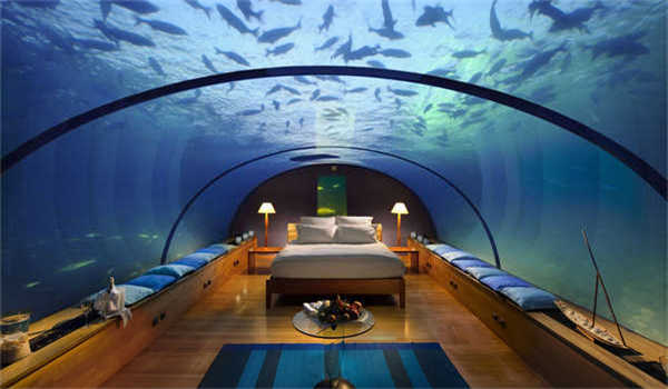 《爷爷的黄昏》读后感