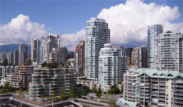 医学影像自我鉴定