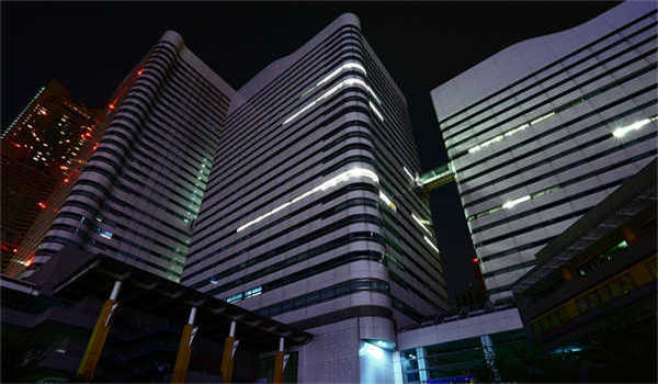 蚂蚁士兵的读后感