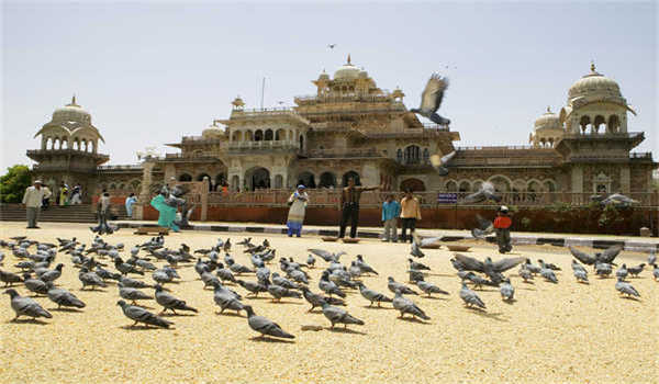 数学专业求职信